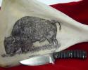 Buffalo etched into a buffalo shoulder blade with a custom made knife in front.